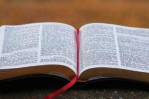 Il Papa: «Chi ignora le Scritture ignora Cristo»